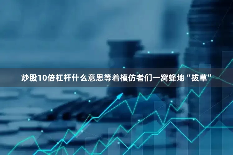 炒股10倍杠杆什么意思等着模仿者们一窝蜂地“拔草”