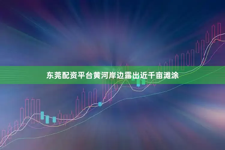 东莞配资平台黄河岸边露出近千亩滩涂