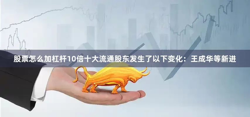 股票怎么加杠杆10倍十大流通股东发生了以下变化：王成华等新进